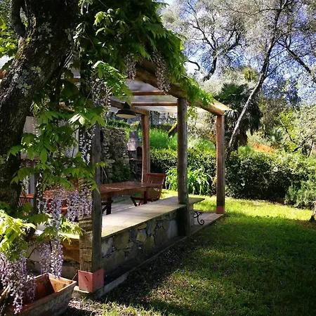La Prima Torre Charme - 6 Posti Letto - Giardino E Piscina Condivisa * San Lorenzo della Costa