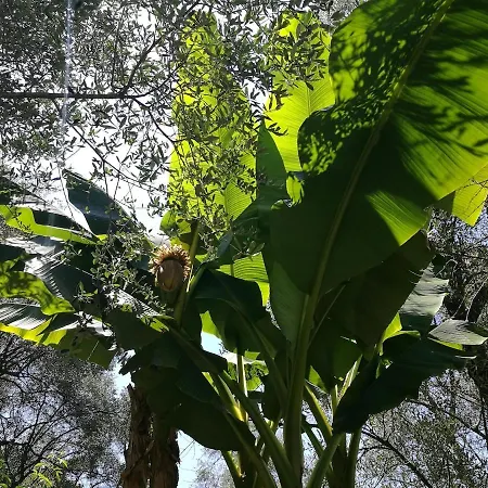 La Prima Torre Charme - Garden And Shared Pool Lägenhet