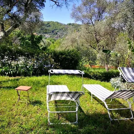 Apartment La Prima Torre Charme - Garden And Shared Pool